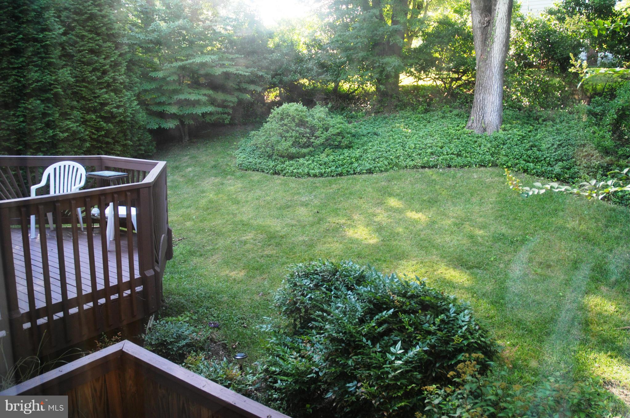 13011 Tamarack Road Silver Spring, MD 20904 - Photo 23 of 30 View from DR Window!