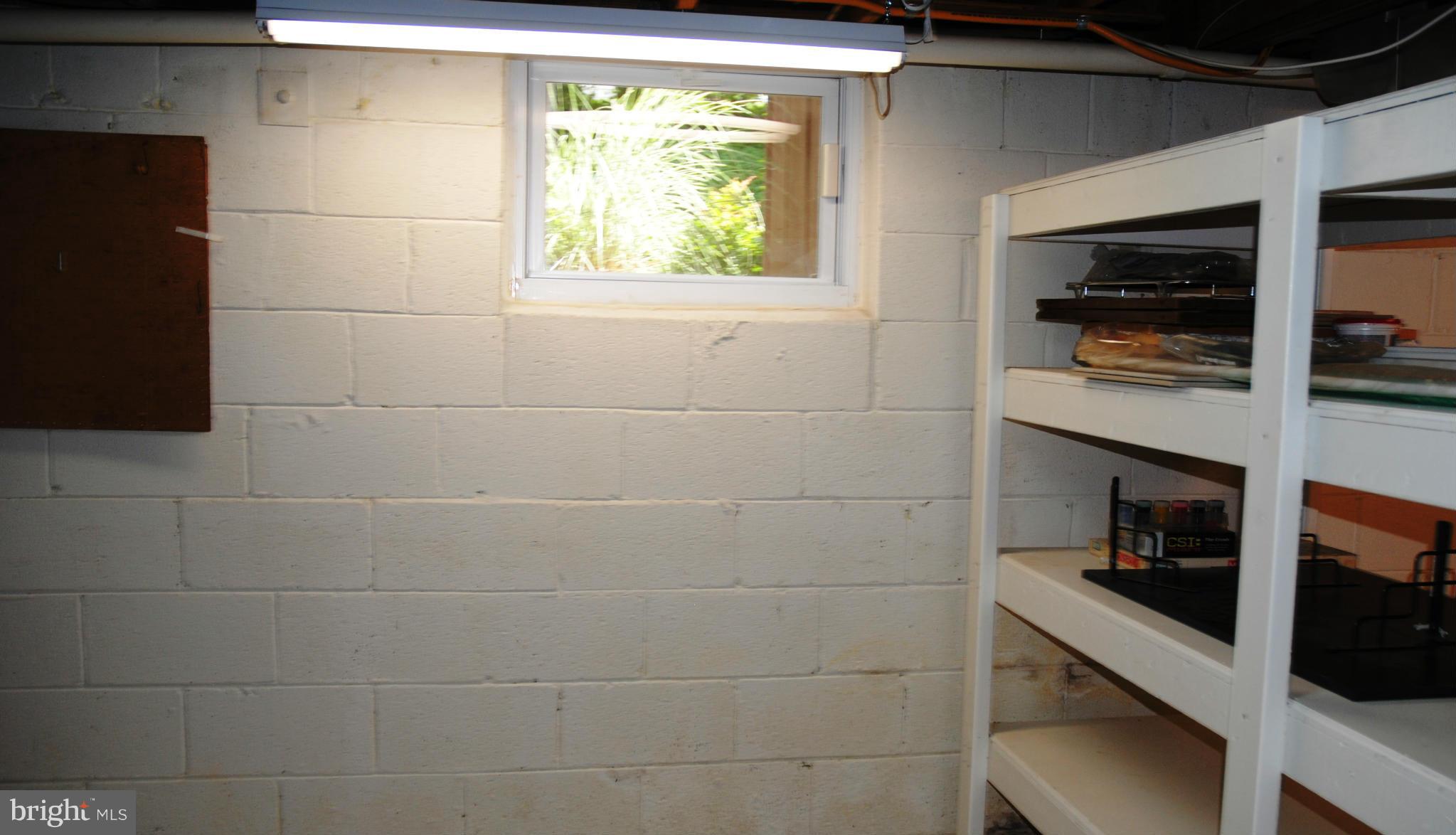 13011 Tamarack Road Silver Spring, MD 20904 - Photo 27 of 30 Storage Shelves