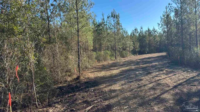 $125,000 | Lot 4 Hwy 89 Allentown, Jay, FL 32565