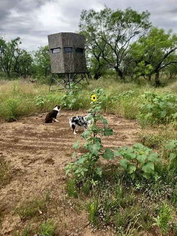 $545,000 | 1050 County Road 258, Santa Anna, TX 76878