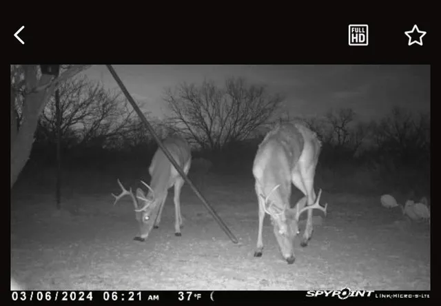 $545,000 | 1050 County Road 258, Santa Anna, TX 76878