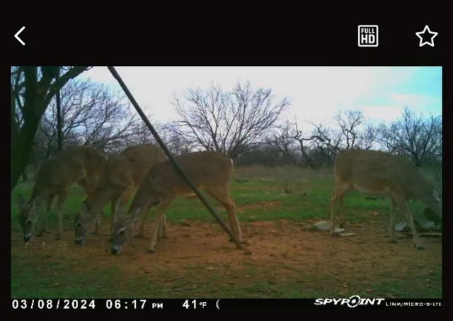 $545,000 | 1050 County Road 258, Santa Anna, TX 76878