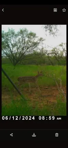 $545,000 | 1050 County Road 258, Santa Anna, TX 76878