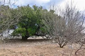 $545,000 | 1050 County Road 258, Santa Anna, TX 76878