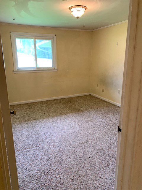 106 Main Street Franklin, PA 16323 - Photo 8 of 13
