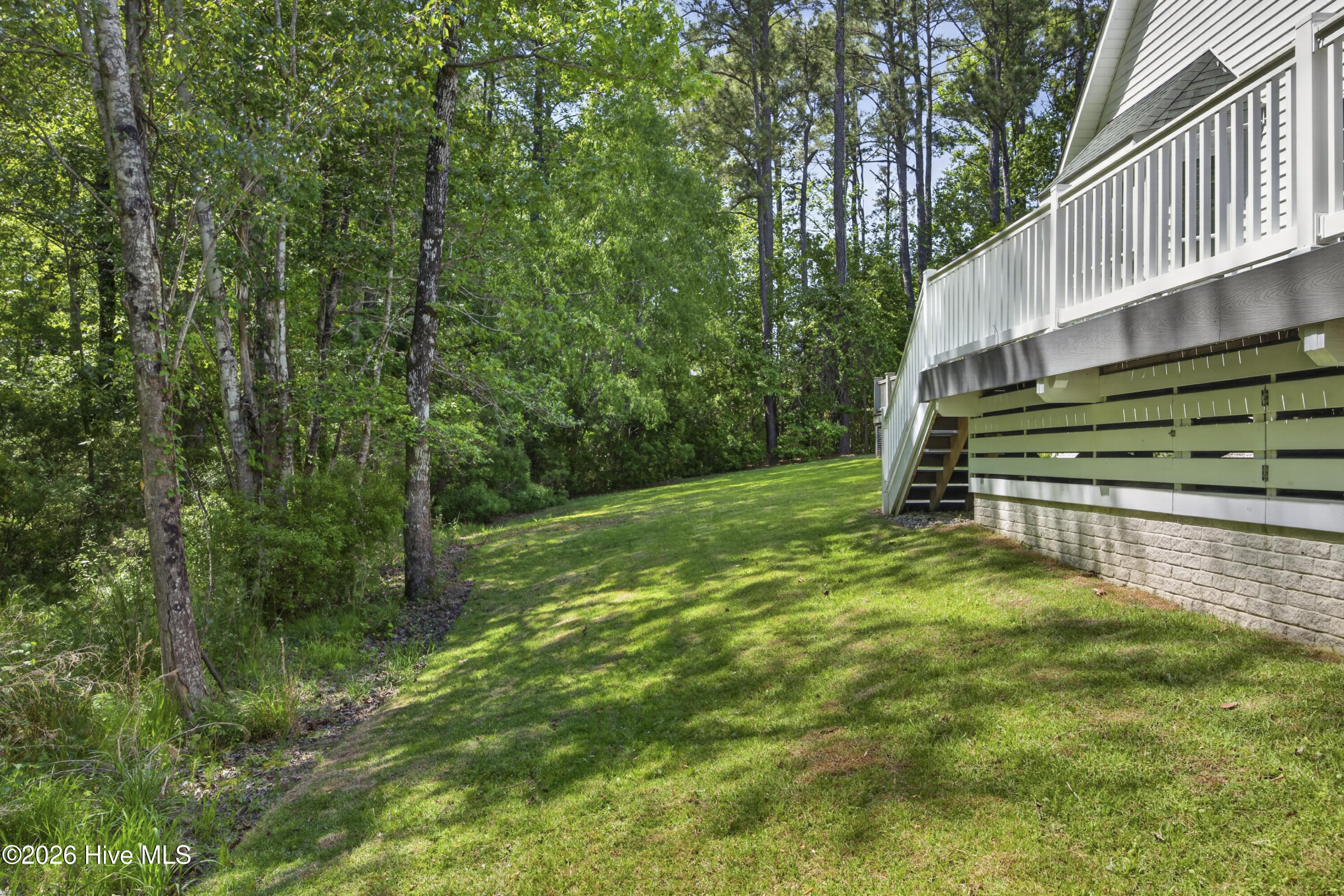 115 Windy Point Sneads Ferry, NC 28460 - Photo 3 of 43 Back Yard