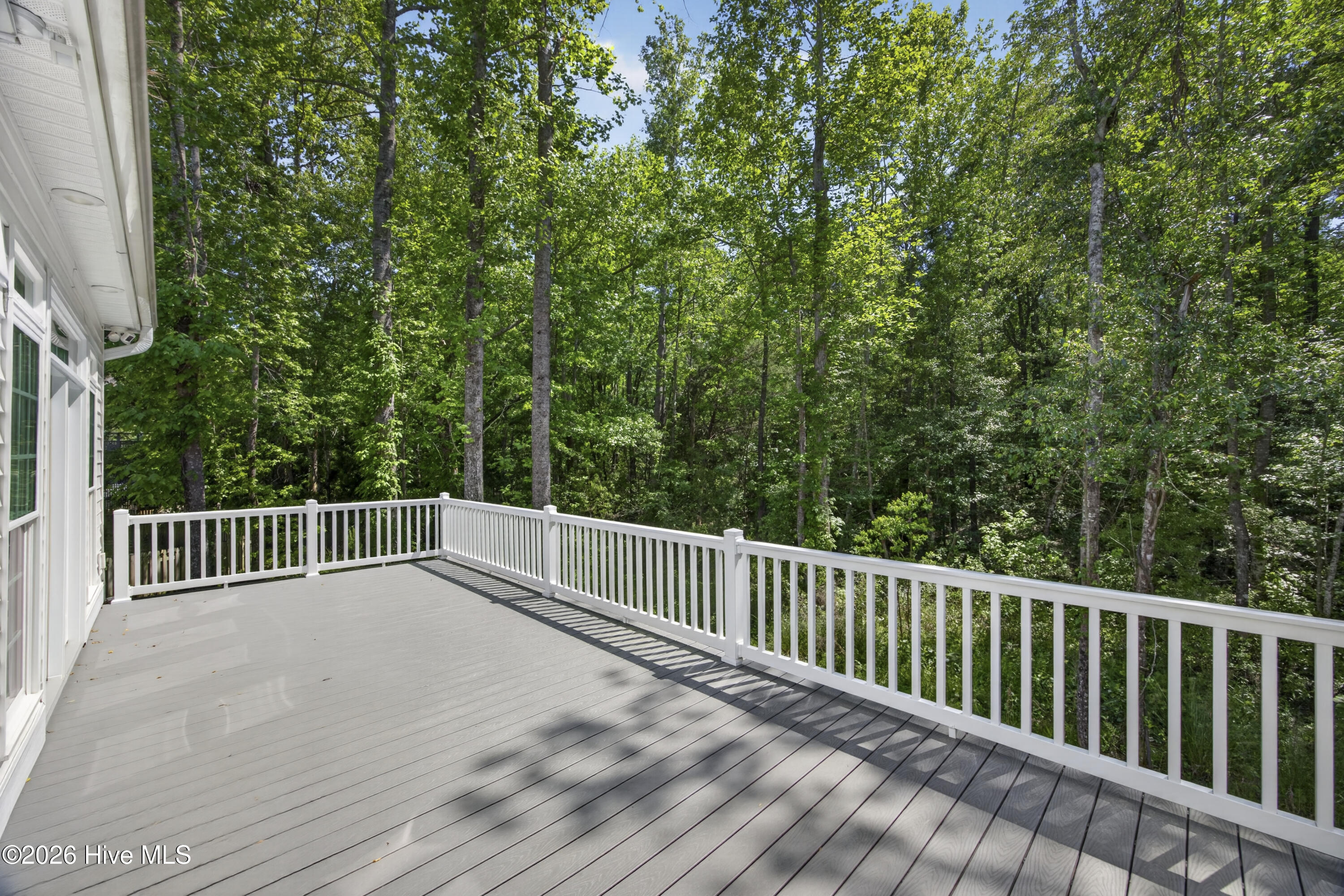 115 Windy Point Sneads Ferry, NC 28460 - Photo 5 of 43 On the Back Deck