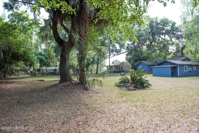 a view of a tree in the middle of a yard