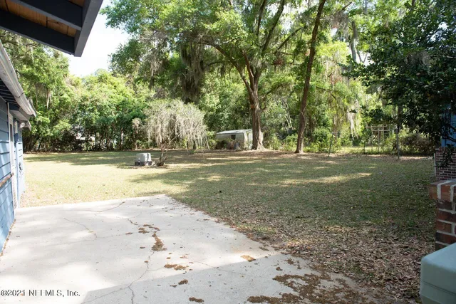 a view of a yard with plants and large trees