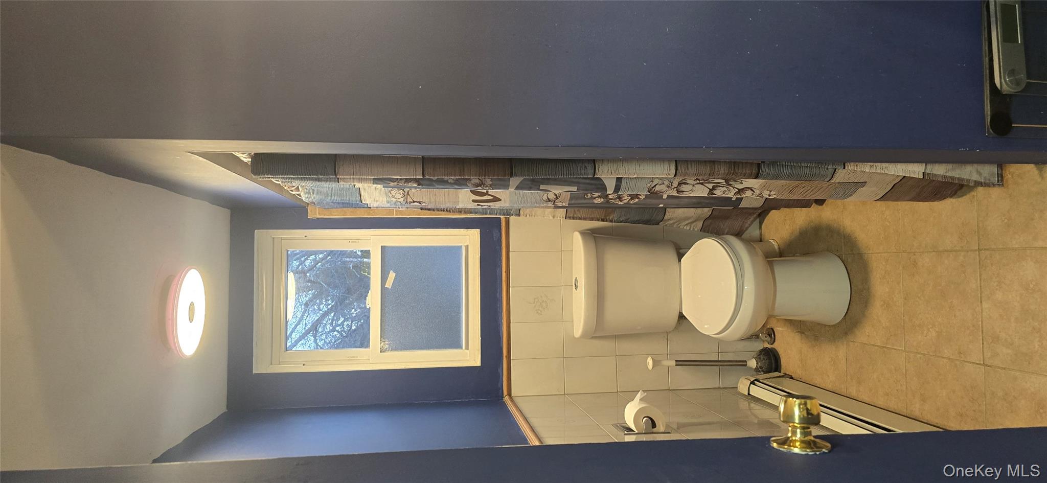 2 Ivy Road Mastic Beach, NY 11951 - Photo 15 of 25 a bathroom with a toilet and a shower