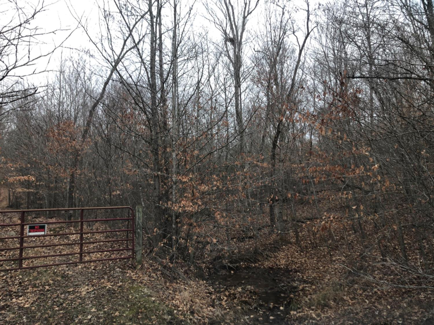 111 Westcott Road Morehead, KY 40351 - Photo 1 of 11 Photo 1