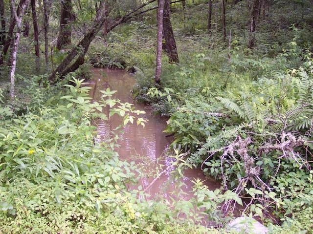 0 Jim McGill Road Sunbright, TN 37872 - Photo 26 of 40 Gallery Image 26