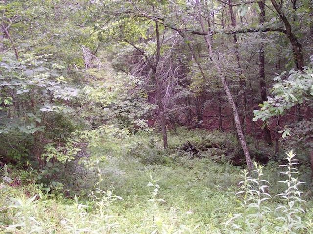 0 Jim McGill Road Sunbright, TN 37872 - Photo 27 of 40 Gallery Image 27
