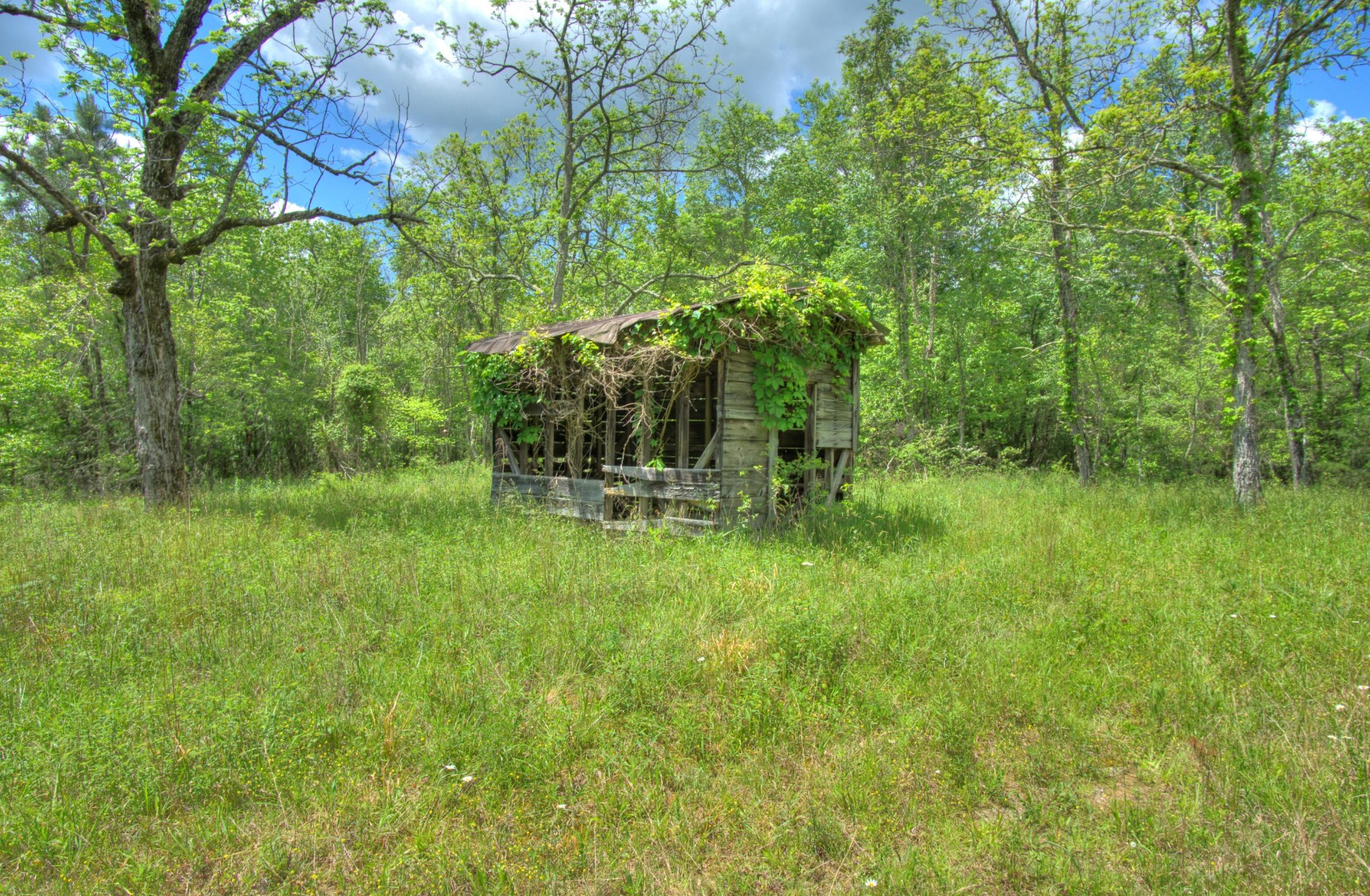 0 Jim McGill Road Sunbright, TN 37872 - Photo 3 of 40 Gallery Image 3
