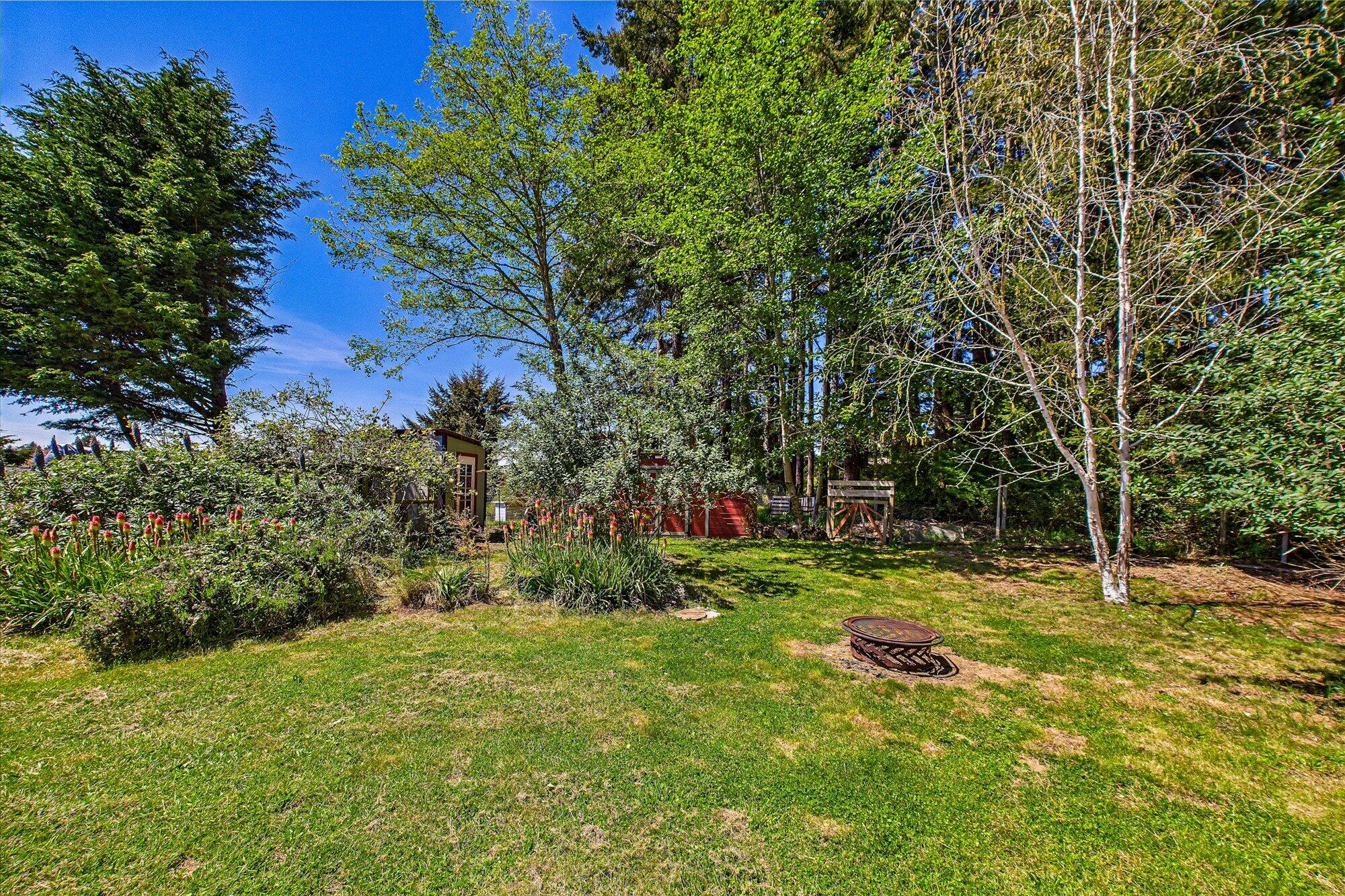 1945 Grange Road McKinleyville, CA 95519 - Photo 53 of 62 a view of a tree in a yard