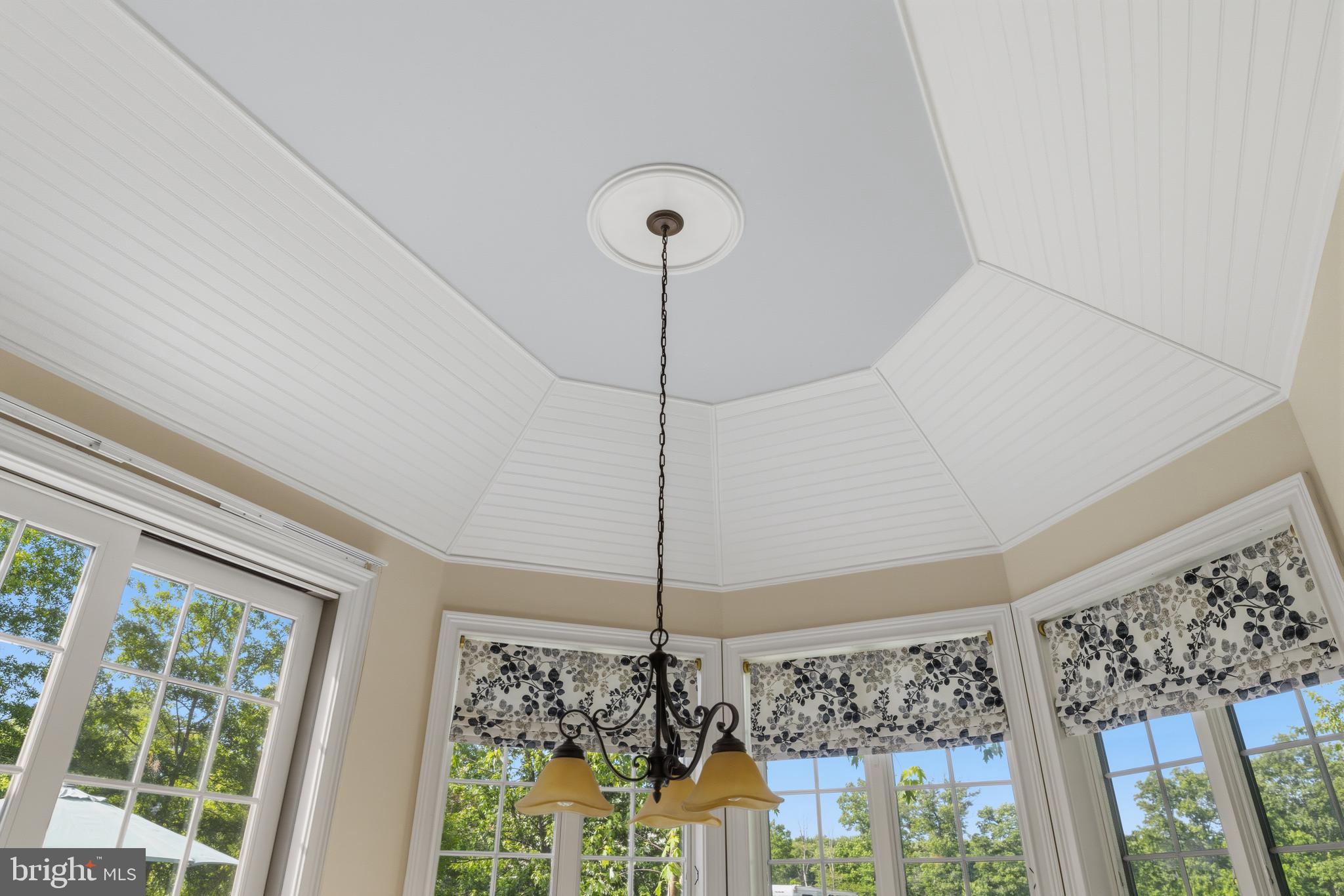 265 Walter Road Chalfont, PA 18914 - Photo 23 of 83 Half octagon ceiling in the breakfast room