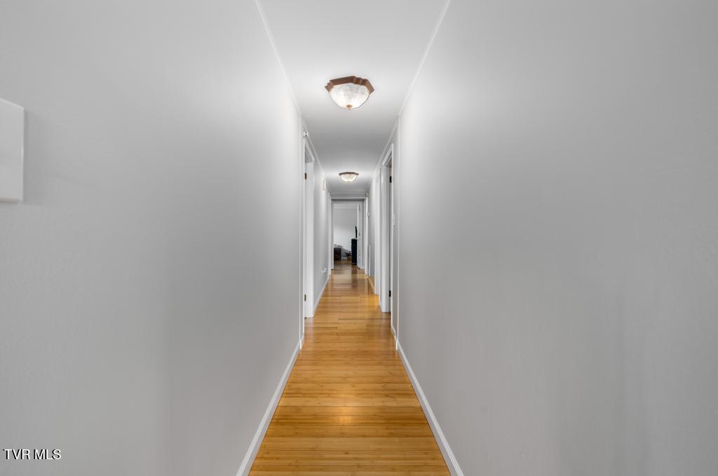 1292 Swift Hollow Road Mountain City, TN 37683 - Photo 41 of 60 1292 Swift Hollow Road (41 of 65)