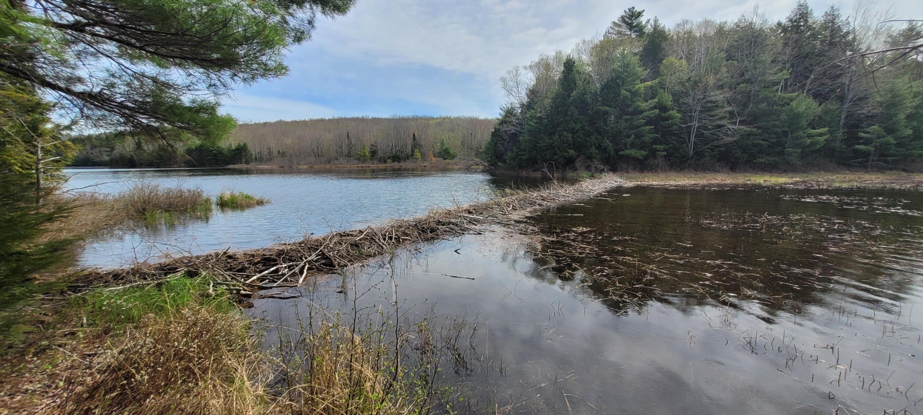 0 Middle Pond Road Clifton, ME 04428 - Photo 21 of 30 20240508_101510