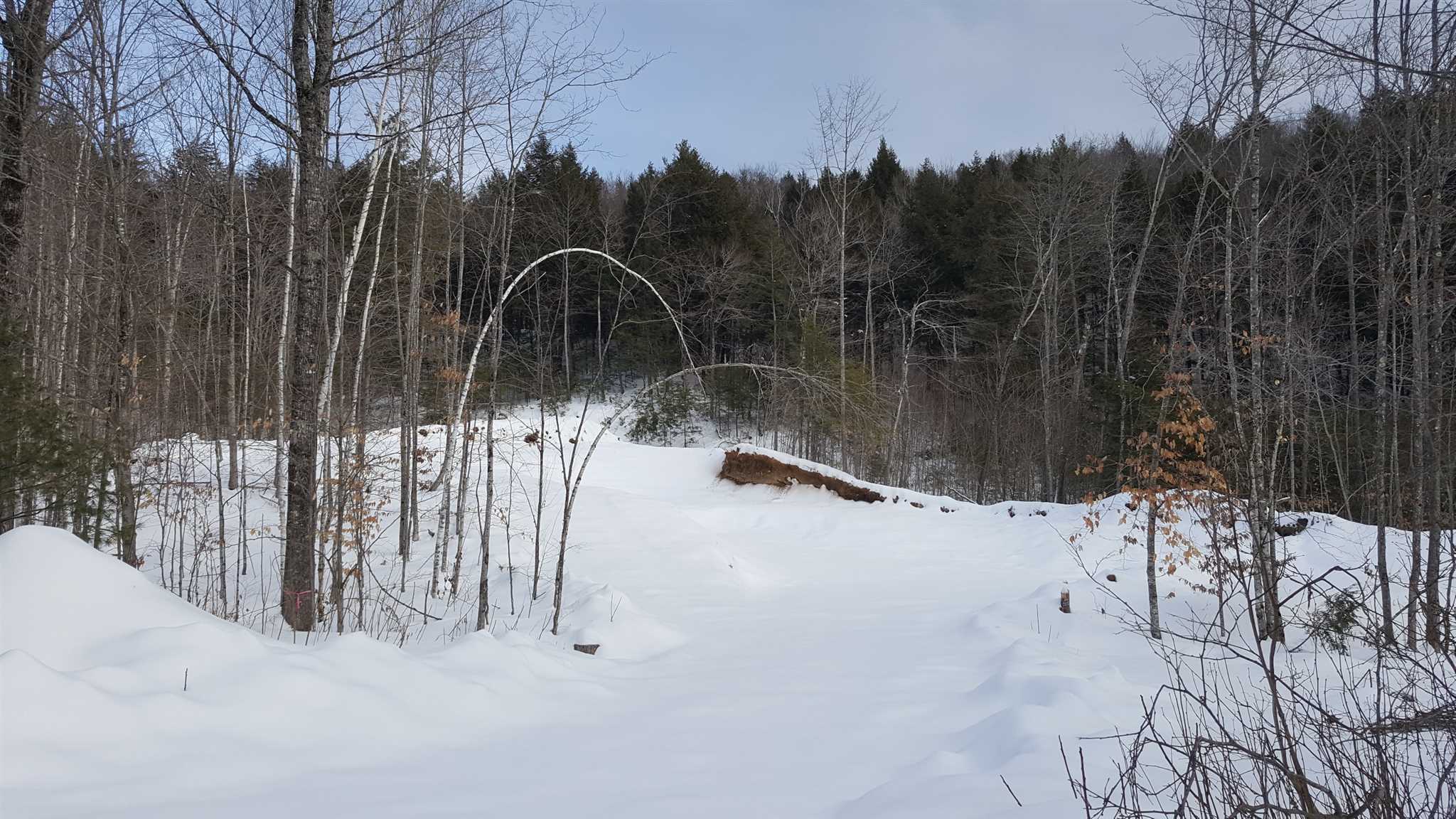 Lot 2 Thurston Pond Road Madison, NH 03849 - Photo 1 of 2