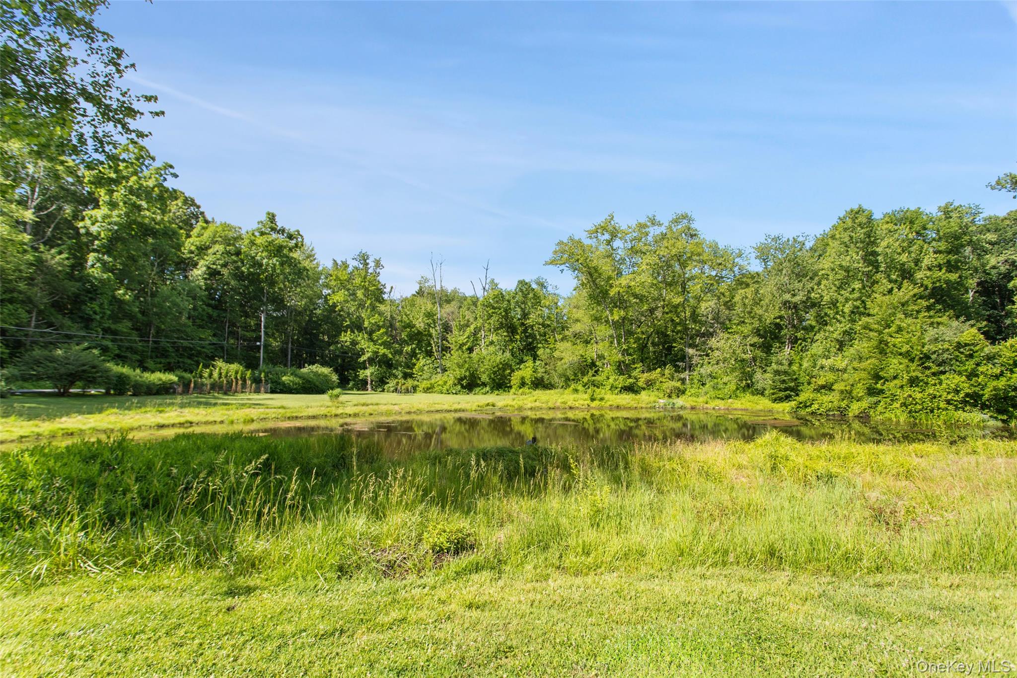 355 Pine Brook Road Bedford, NY 10506 - Photo 5 of 5