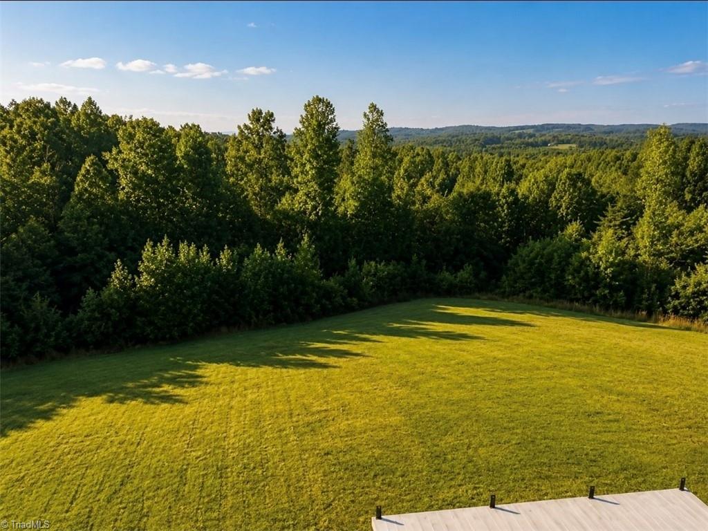 474 Surry Gadsberry Road Pilot Mountain, NC 27041 - Photo 48 of 48