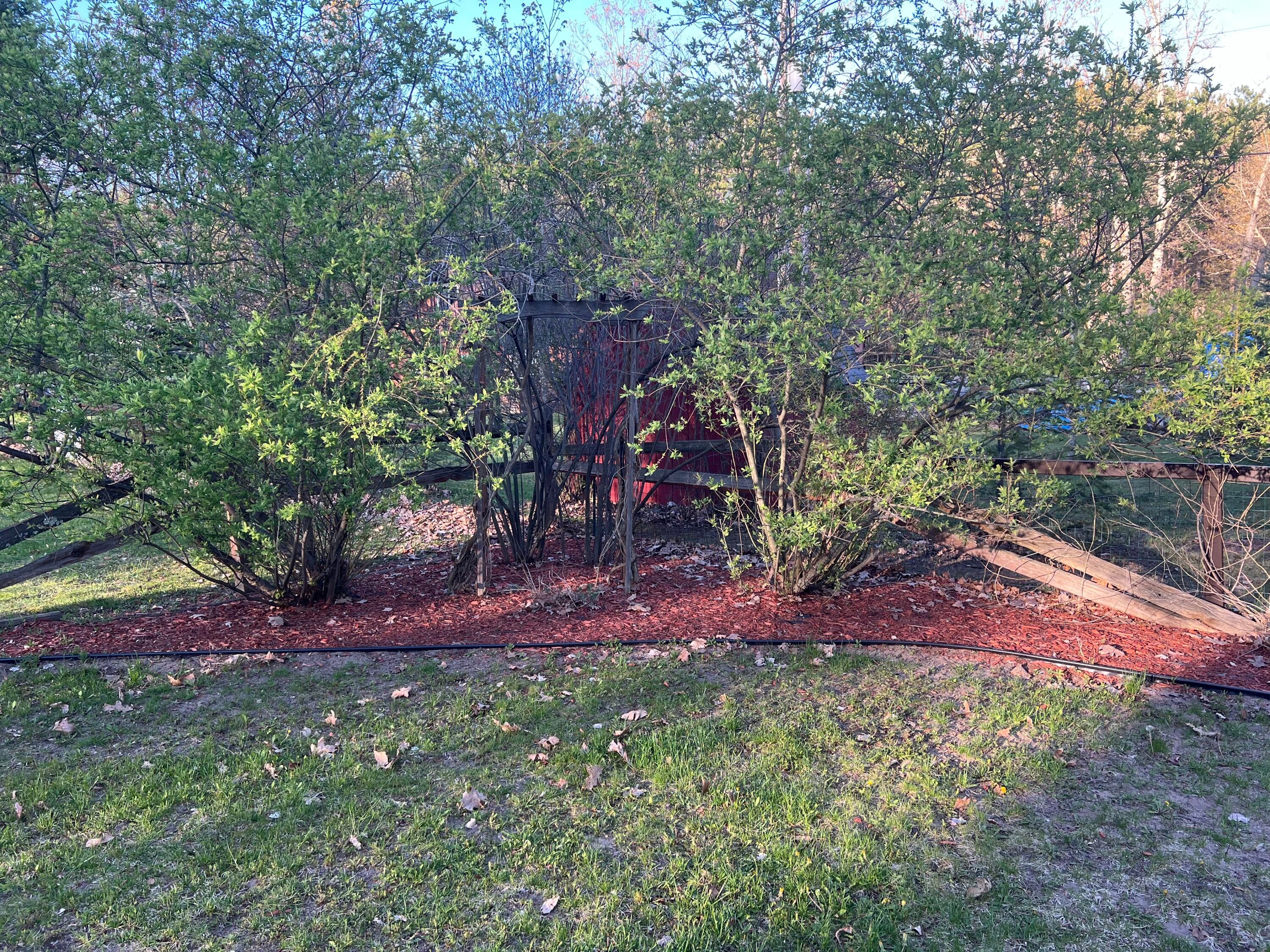 302 Ridgedale Drive Roscommon, MI 48653 - Photo 53 of 67 Gallery Image 53