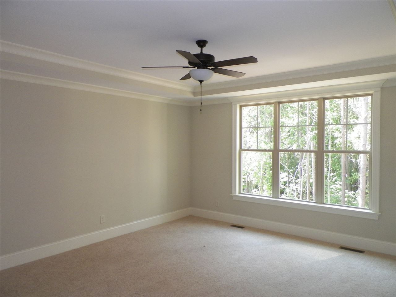 6124 Spring Branch Circle, Unit LOT 28 Raleigh, NC 27603 - Photo 10 of 21 1st Floor Master