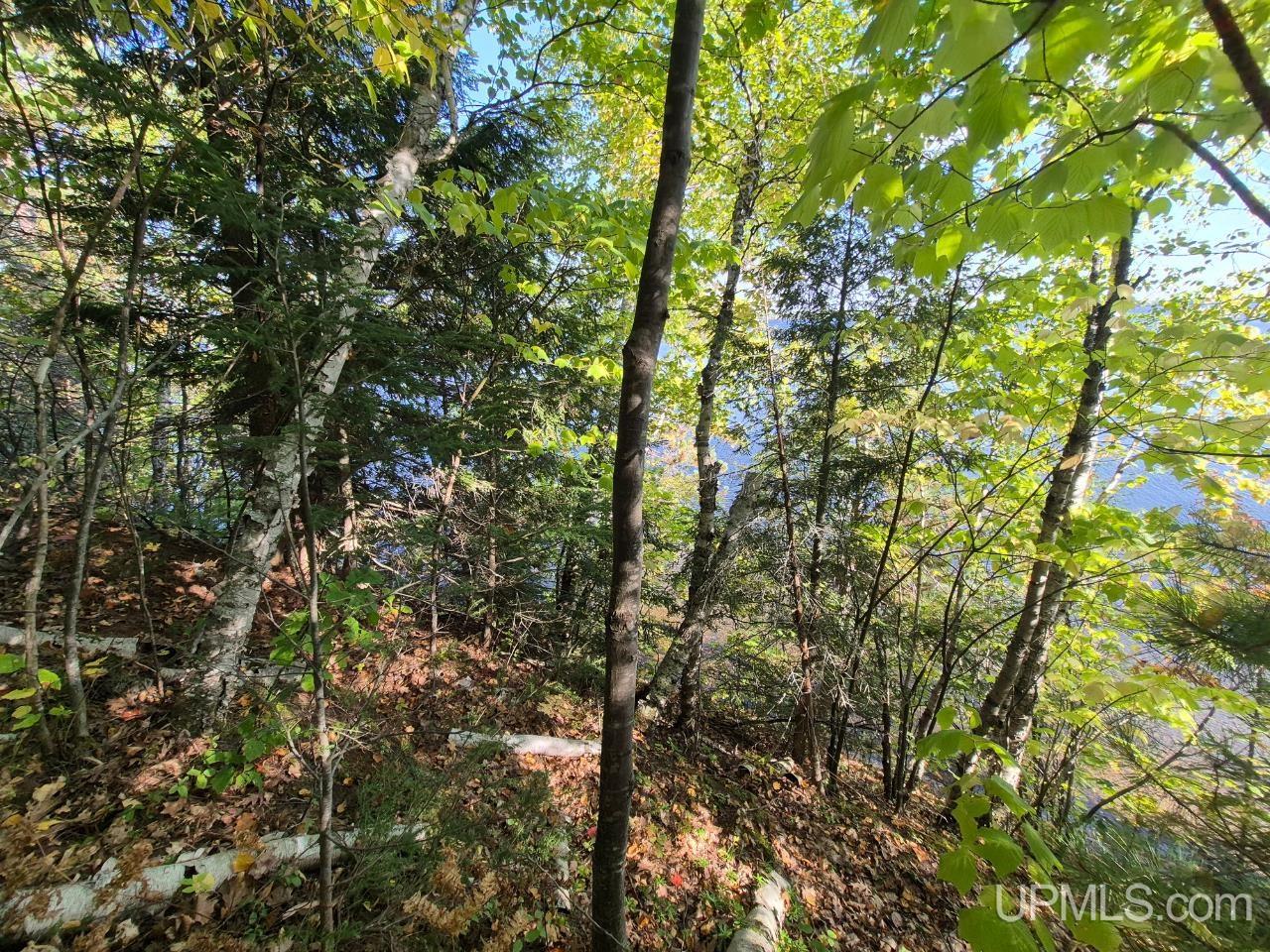 Tbd Tbd D Road Big Bay, MI 49808 - Photo 11 of 21