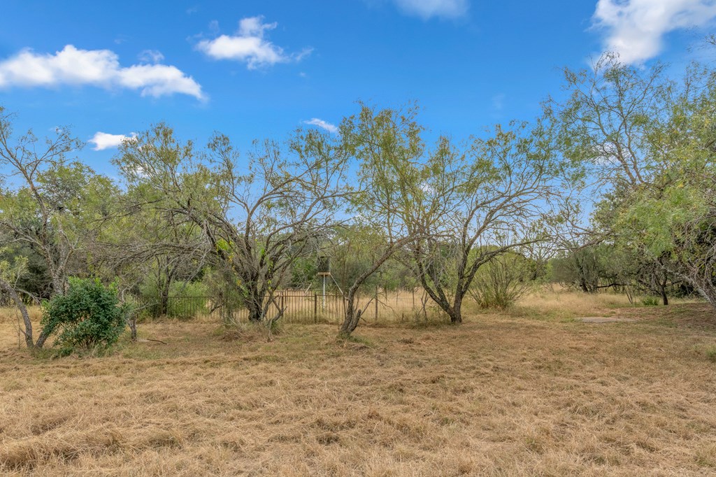 677 Kahn Drive Rio Frio, TX 78879 - Photo 17 of 32