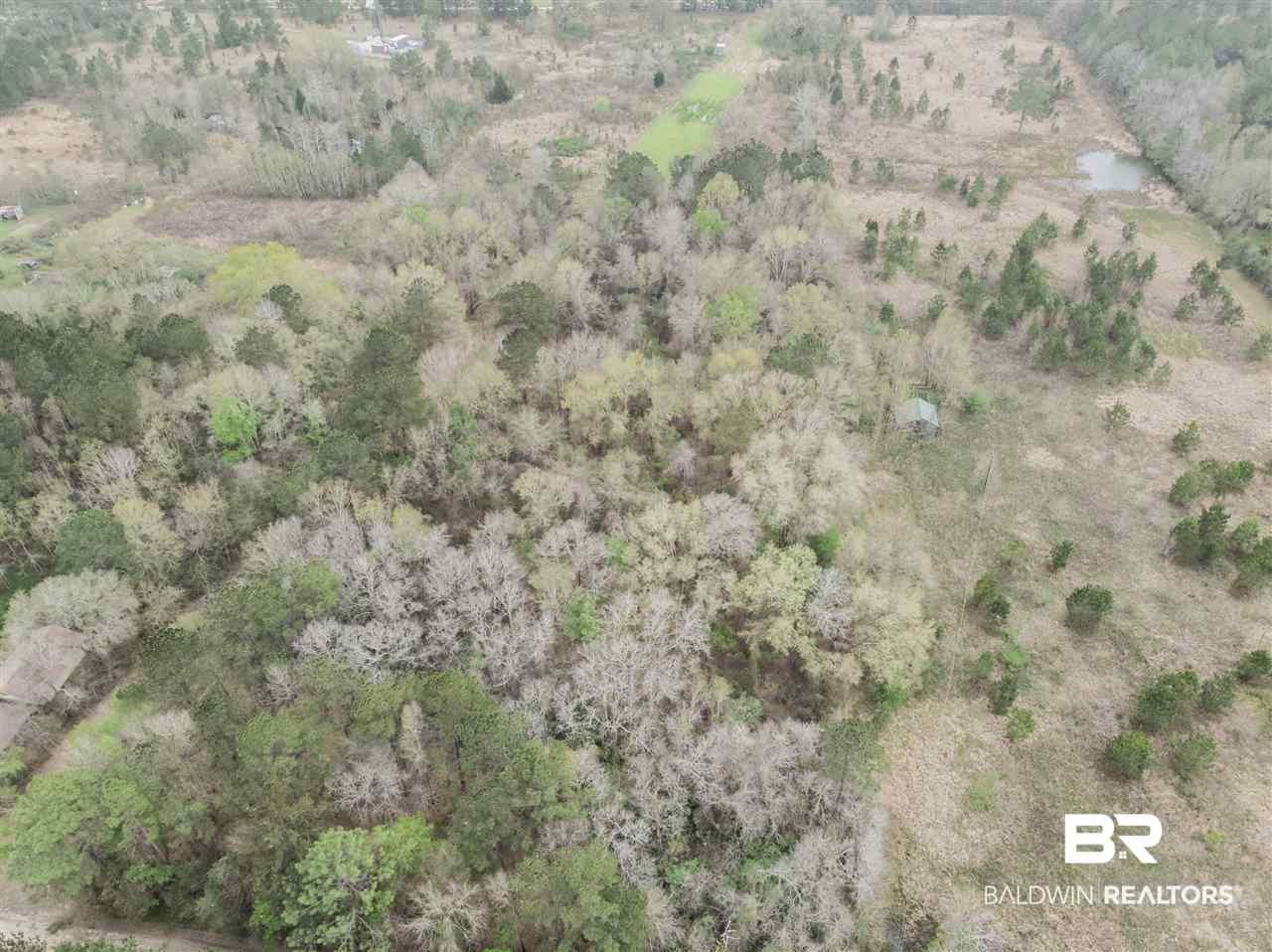 1000 Grimsley Road Creola, AL 36525 - Photo 4 of 15