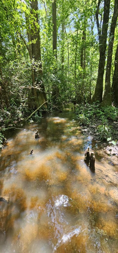 Lot 7 Acres Grady Garner Road Slocomb, AL 36375 - Photo 43 of 58