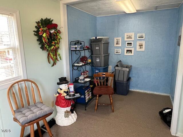 663 Fleming Road Coats, NC 27521 - Photo 19 of 42 a living room with furniture and a window
