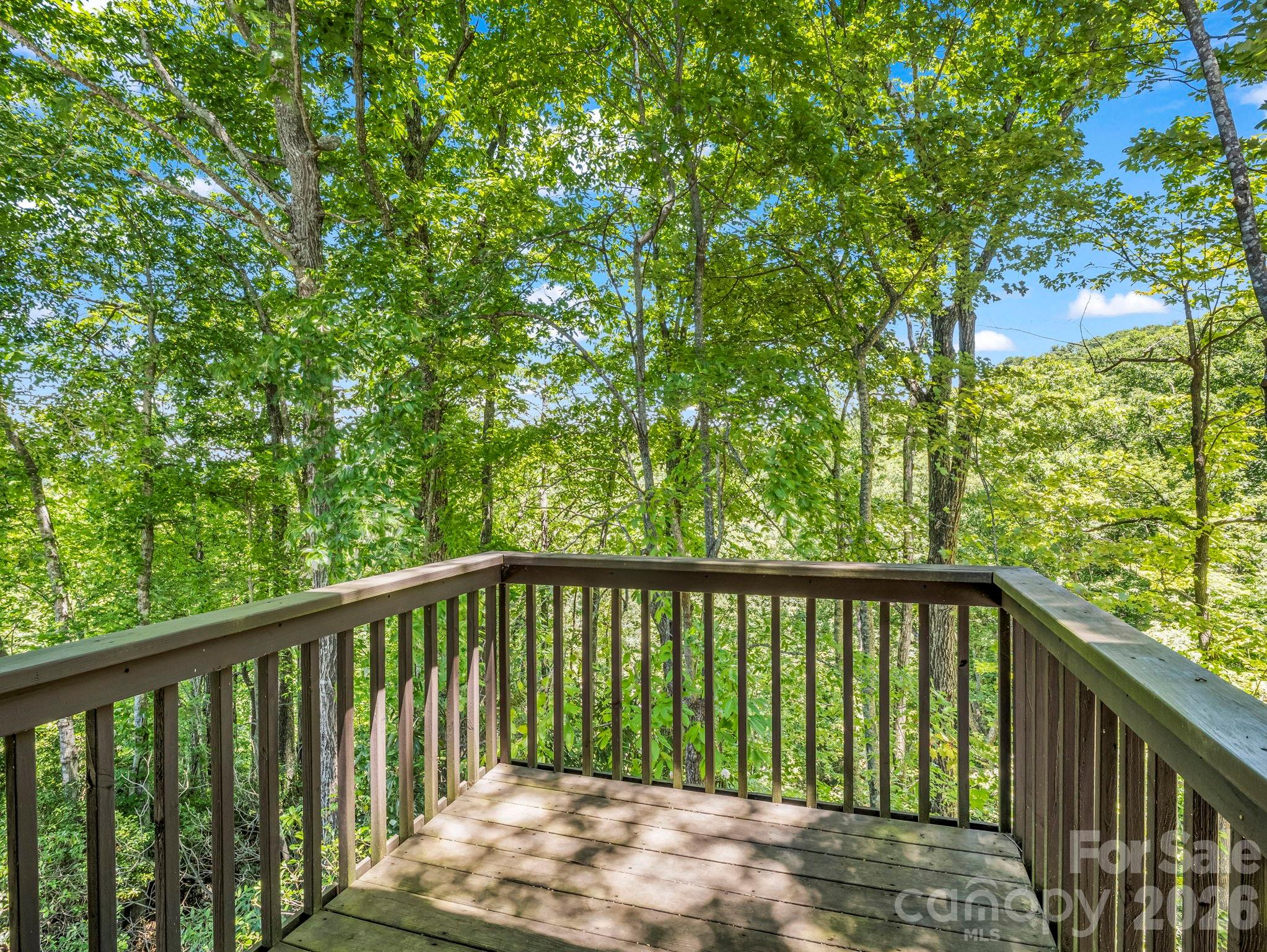 182 Antler Ridge Rosman, NC 28772 - Photo 35 of 38