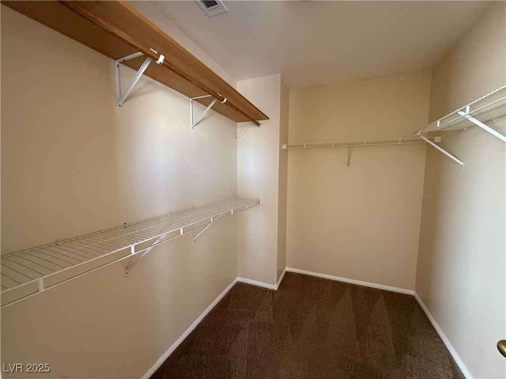 9950 Shadow Grove Avenue Las Vegas, NV 89148 - Photo 23 of 37 Spacious closet with dark colored carpet