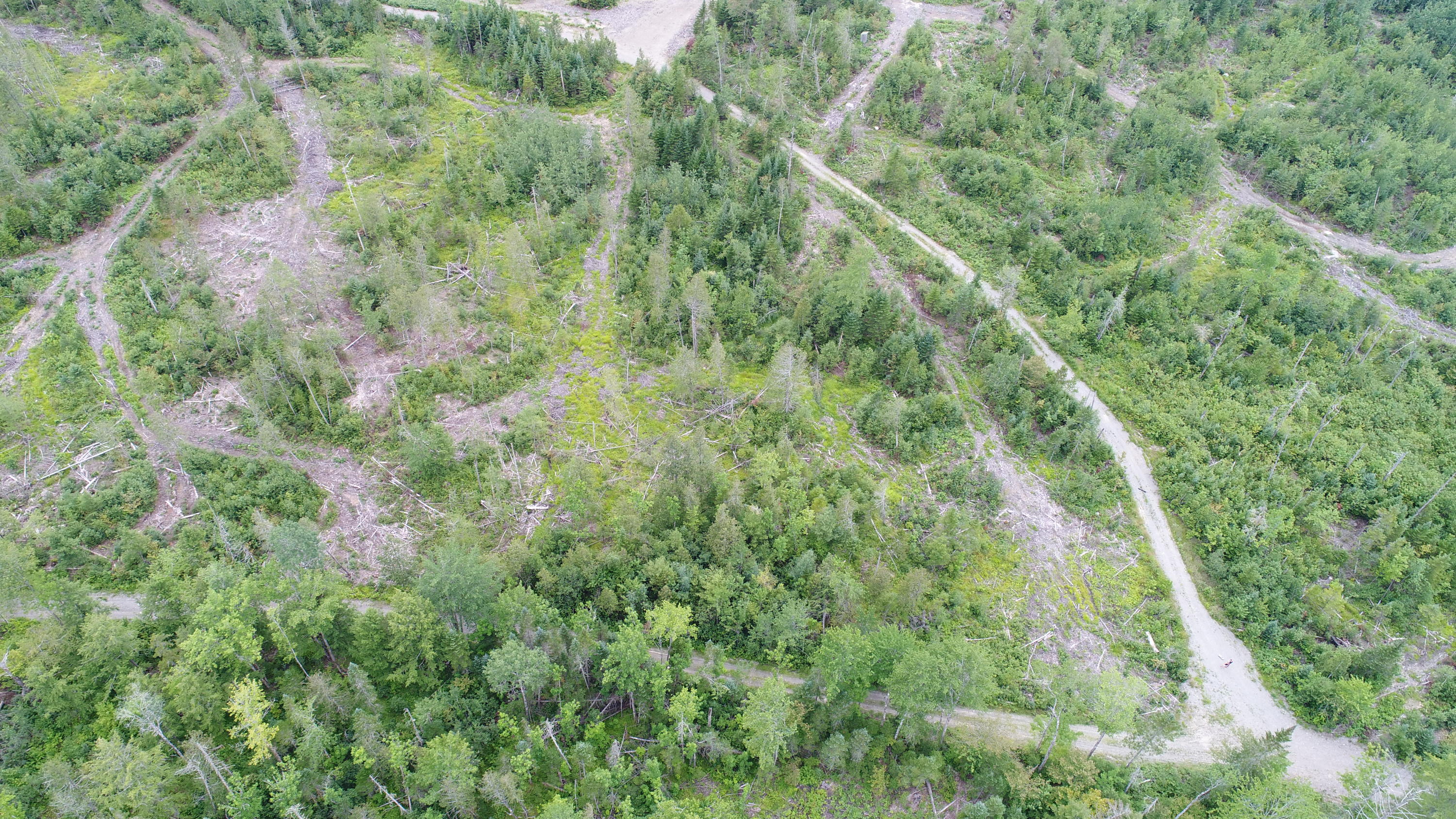 Tbd McCarty Road Solon, ME 04979 - Photo 3 of 17 DJI_0104