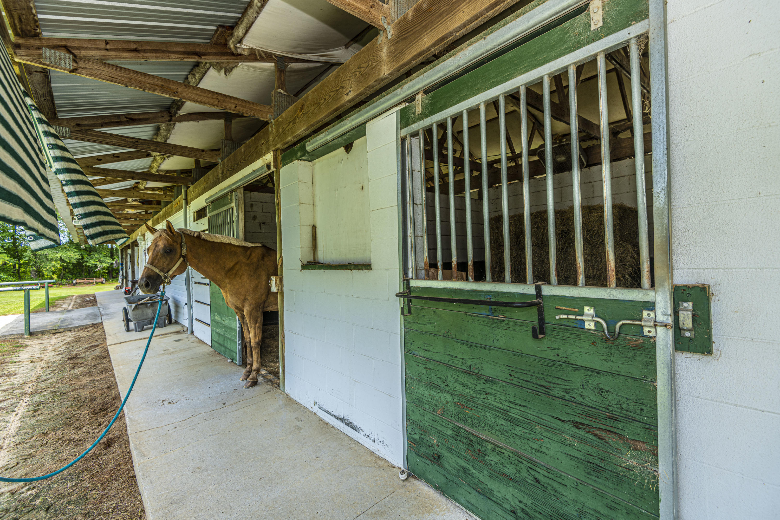 365 Mims Road Harleyville, SC 29448 - Photo 2 of 100 DSC_2596