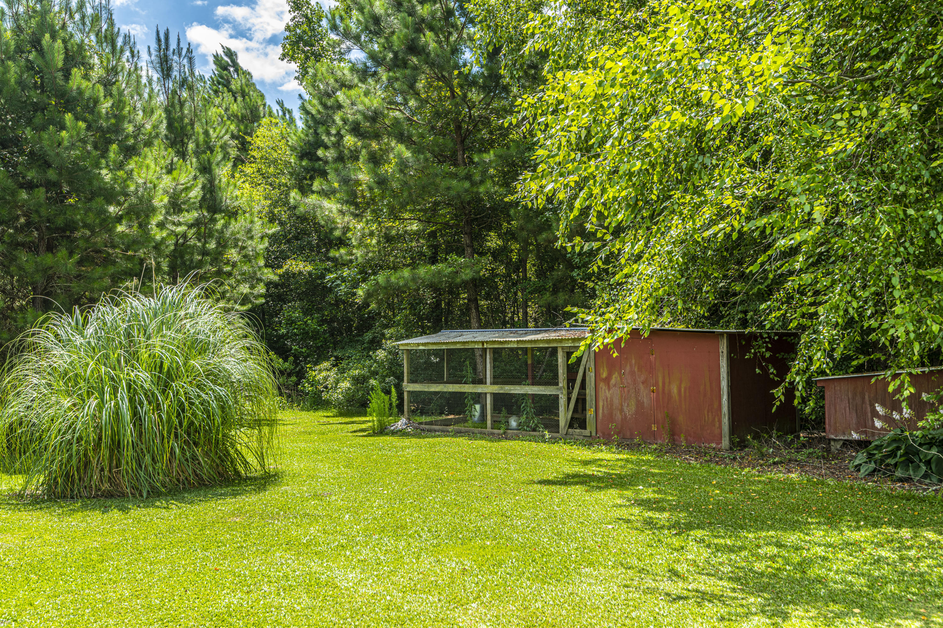 365 Mims Road Harleyville, SC 29448 - Photo 49 of 100 DSC_2603