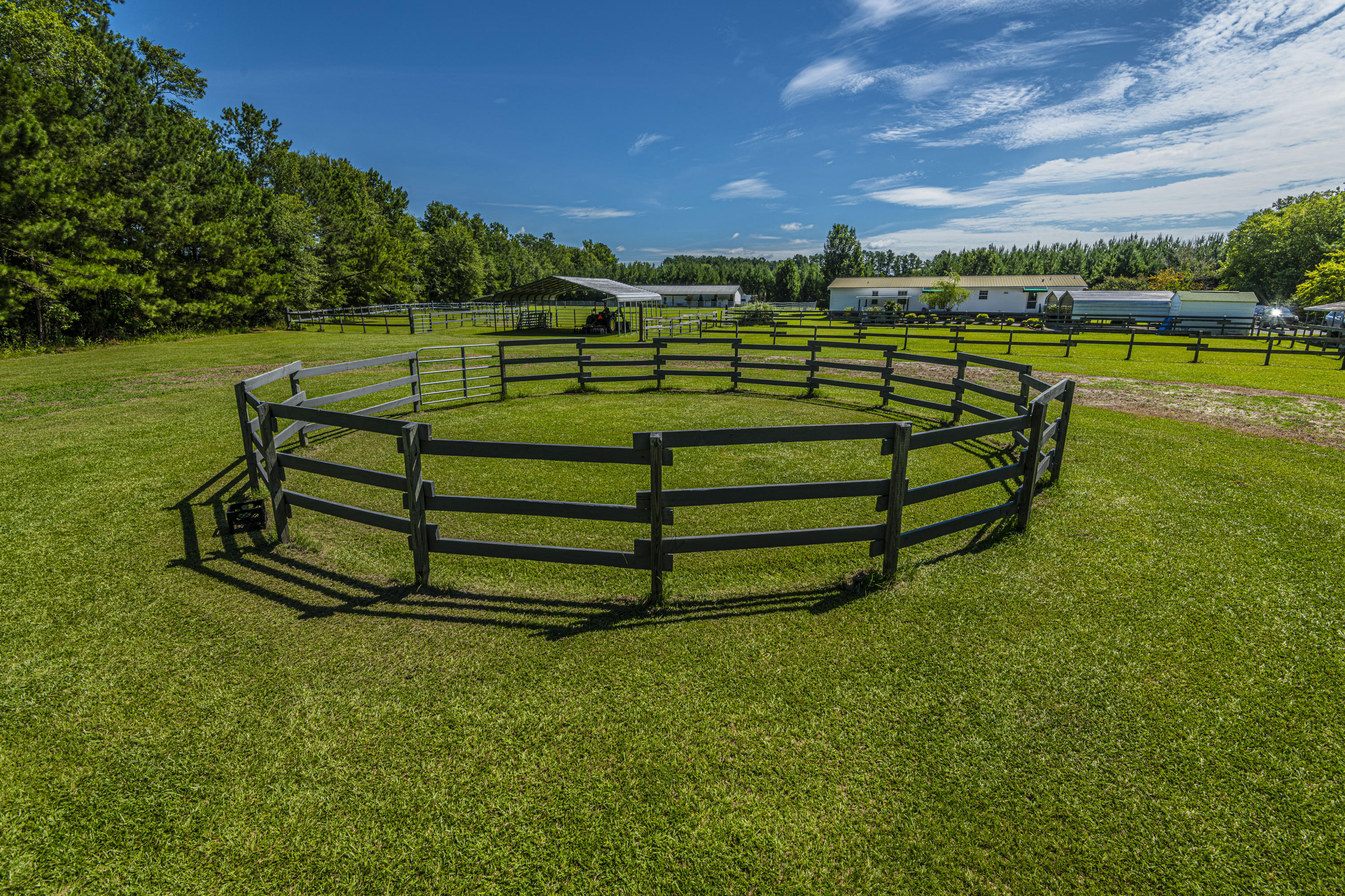 365 Mims Road Harleyville, SC 29448 - Photo 52 of 100 DSC_2524