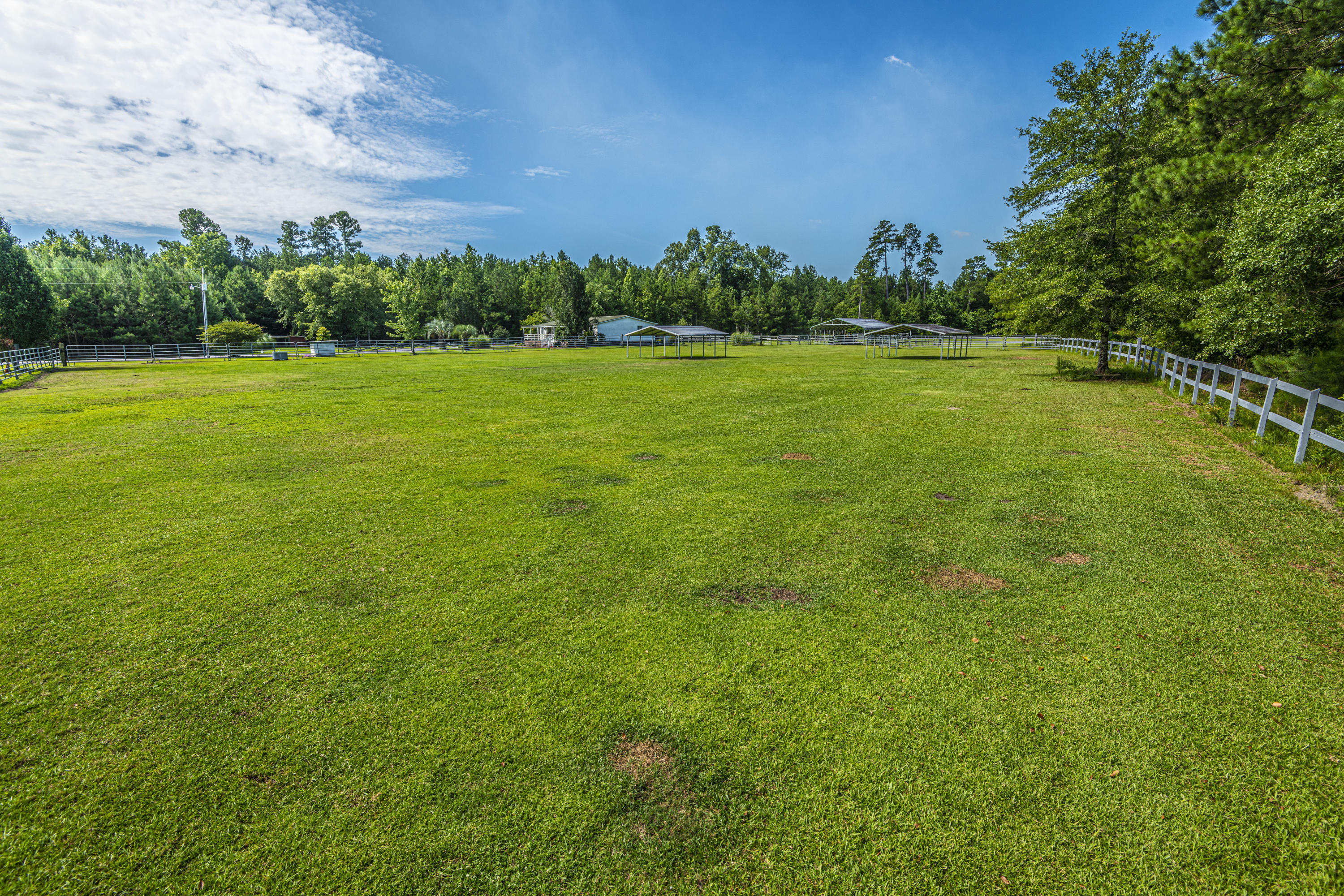 365 Mims Road Harleyville, SC 29448 - Photo 55 of 100 DSC_2477