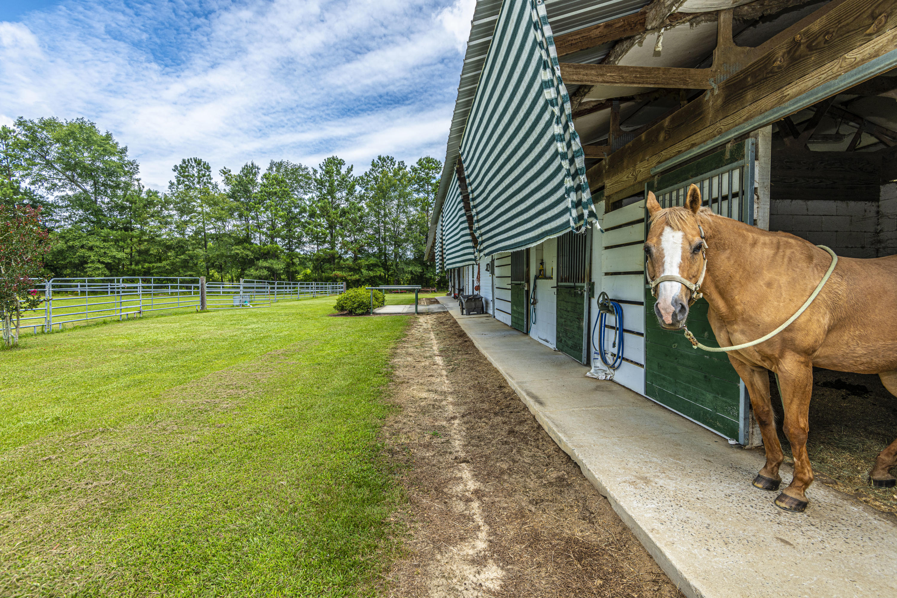 365 Mims Road Harleyville, SC 29448 - Photo 60 of 100 DSC_2574