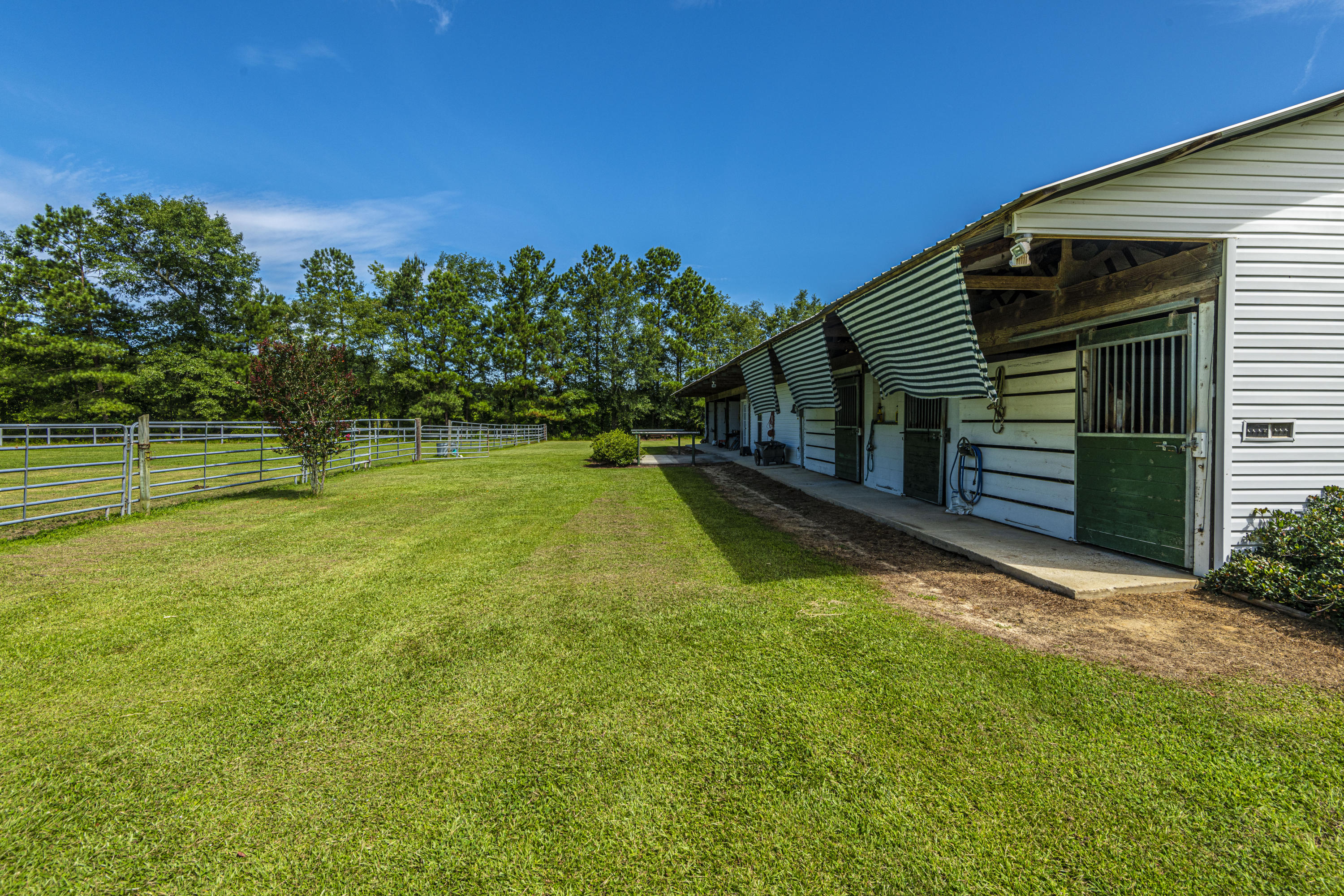 365 Mims Road Harleyville, SC 29448 - Photo 69 of 100 DSC_2469