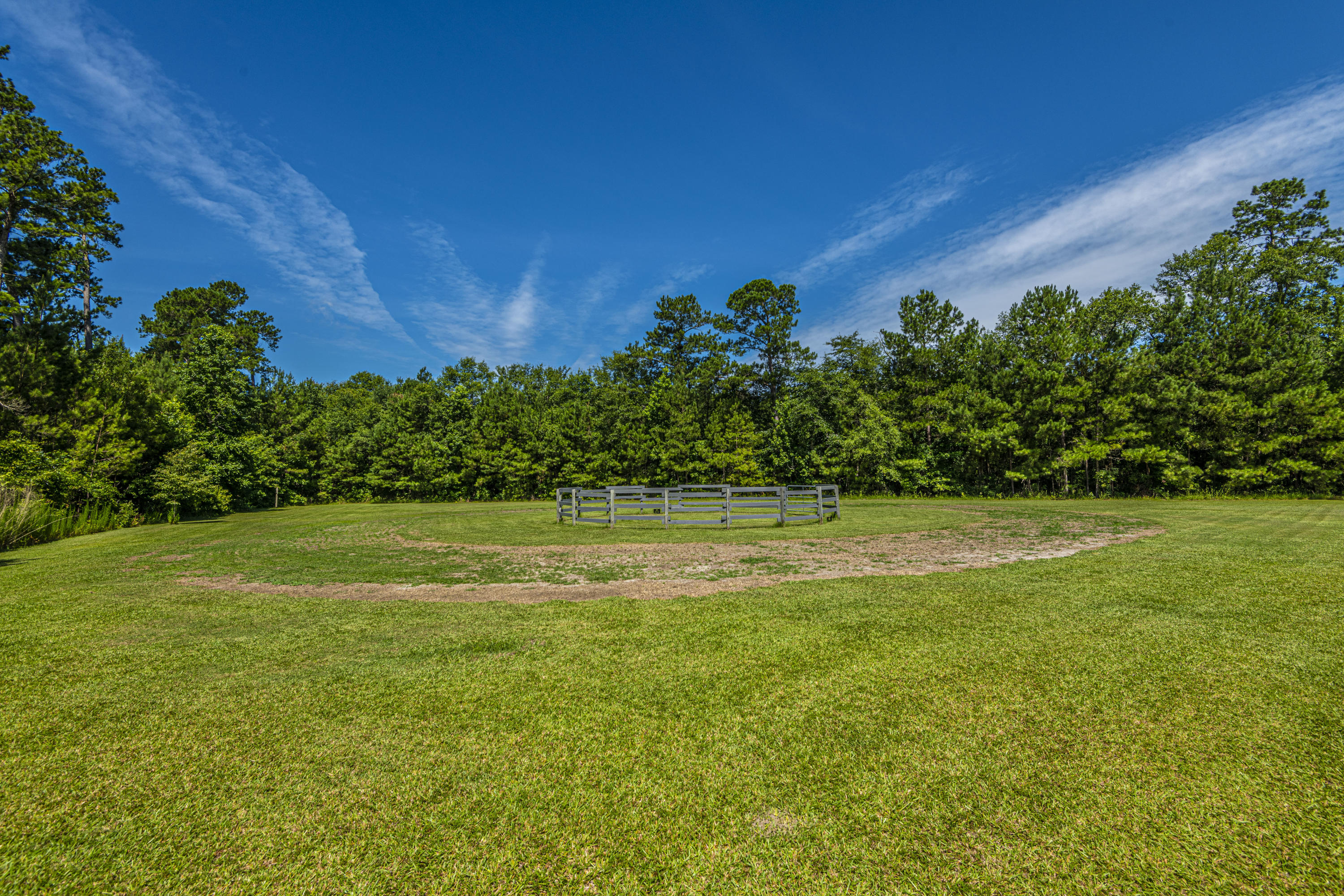 365 Mims Road Harleyville, SC 29448 - Photo 74 of 100 DSC_2519