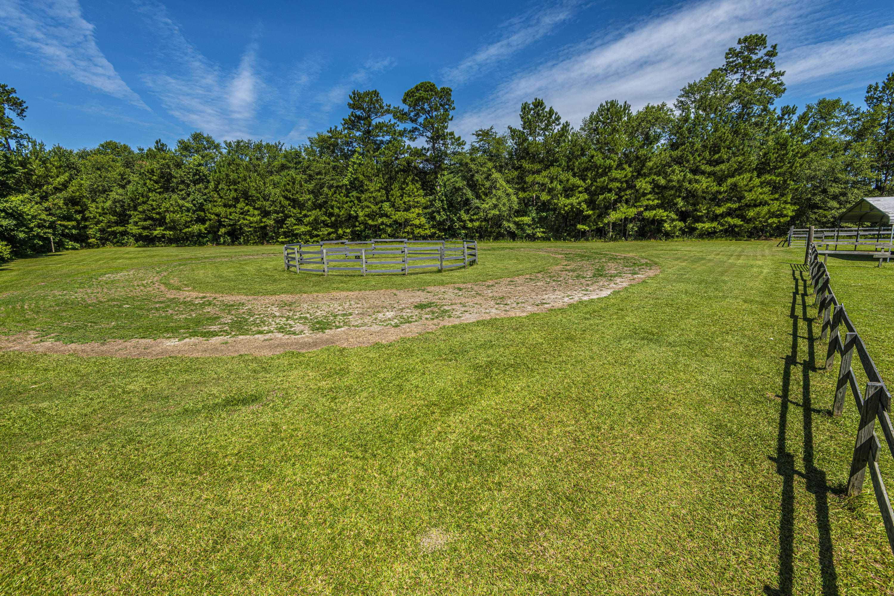 365 Mims Road Harleyville, SC 29448 - Photo 75 of 100 DSC_2520