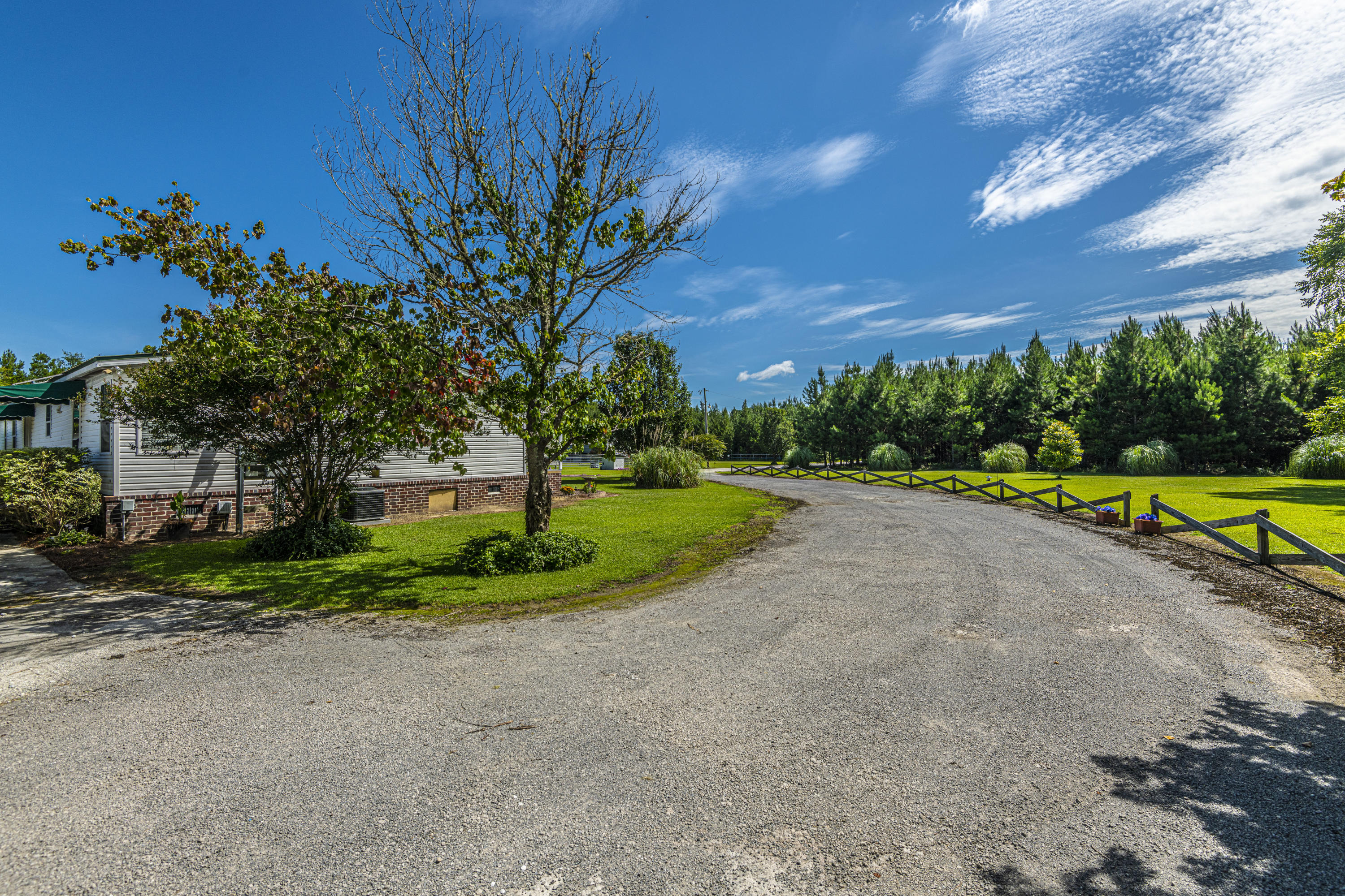 365 Mims Road Harleyville, SC 29448 - Photo 82 of 100 DSC_2456