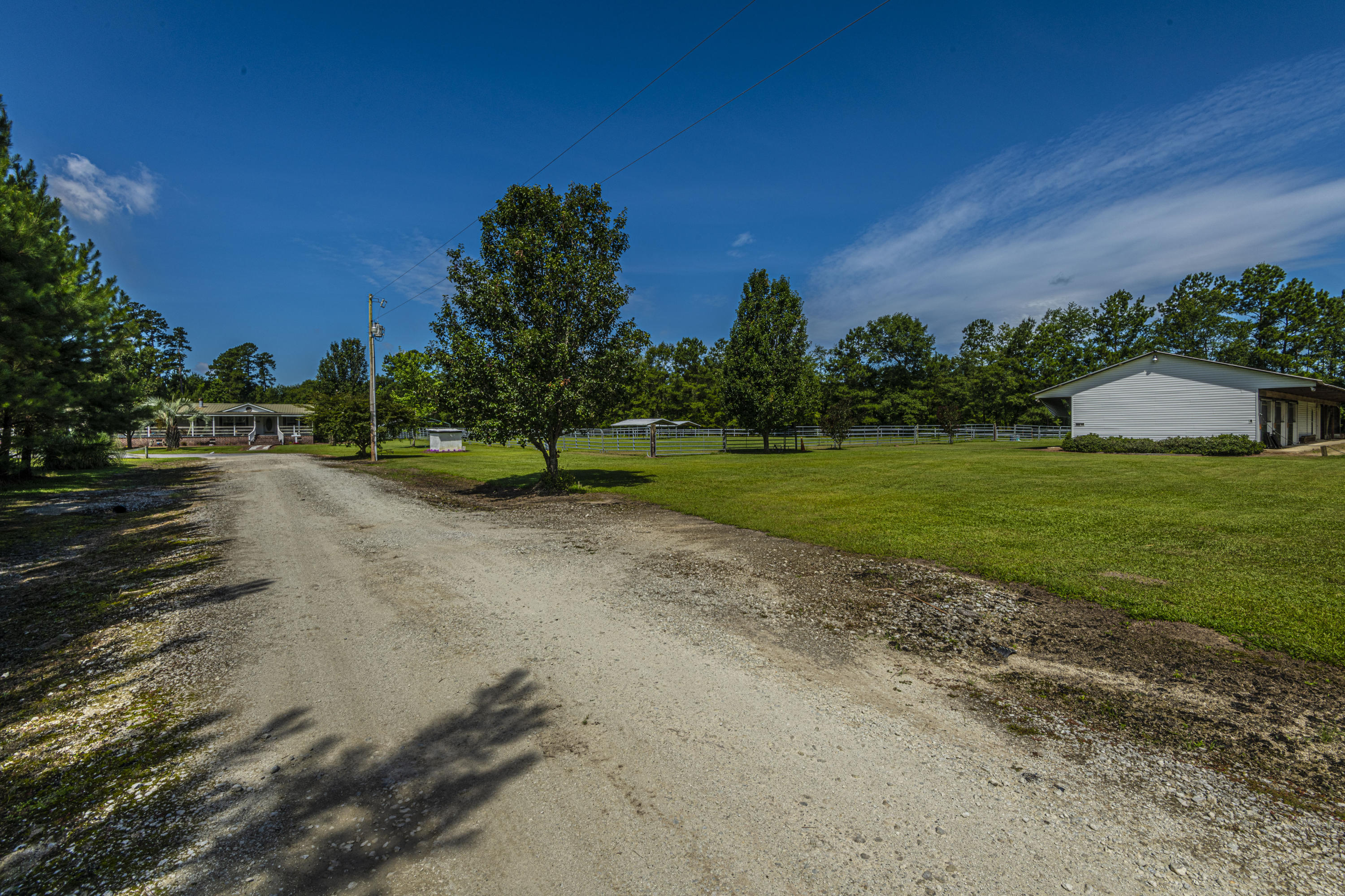 365 Mims Road Harleyville, SC 29448 - Photo 85 of 100 DSC_2499