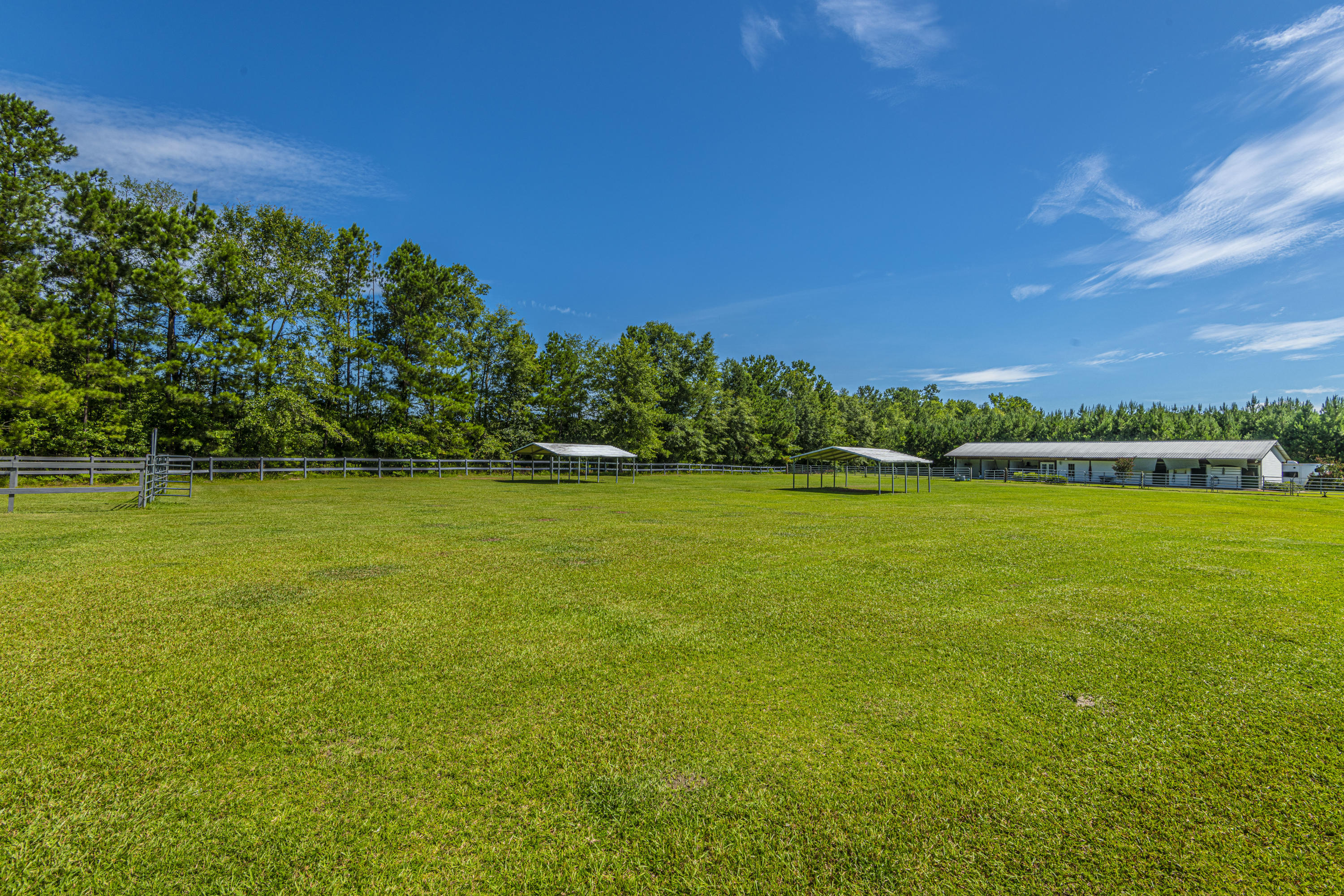 365 Mims Road Harleyville, SC 29448 - Photo 87 of 100 DSC_2504
