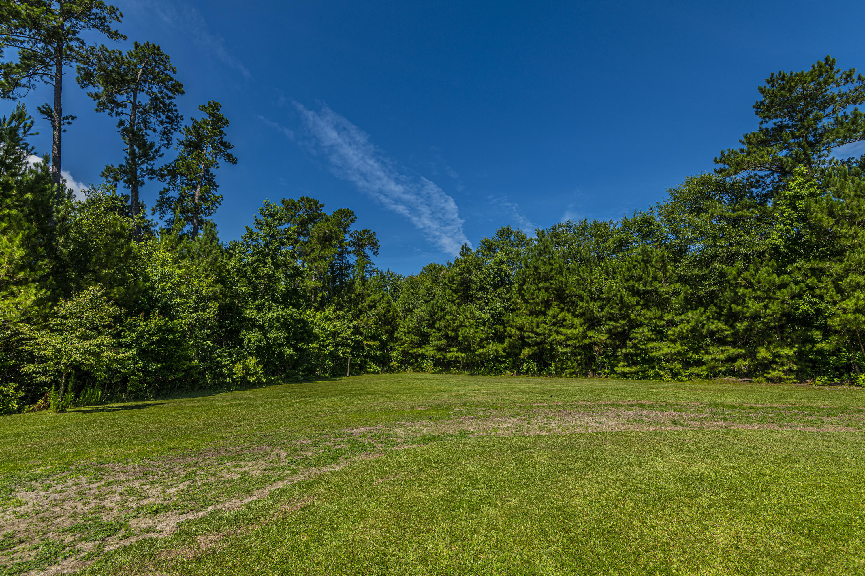 365 Mims Road Harleyville, SC 29448 - Photo 89 of 100 DSC_2522