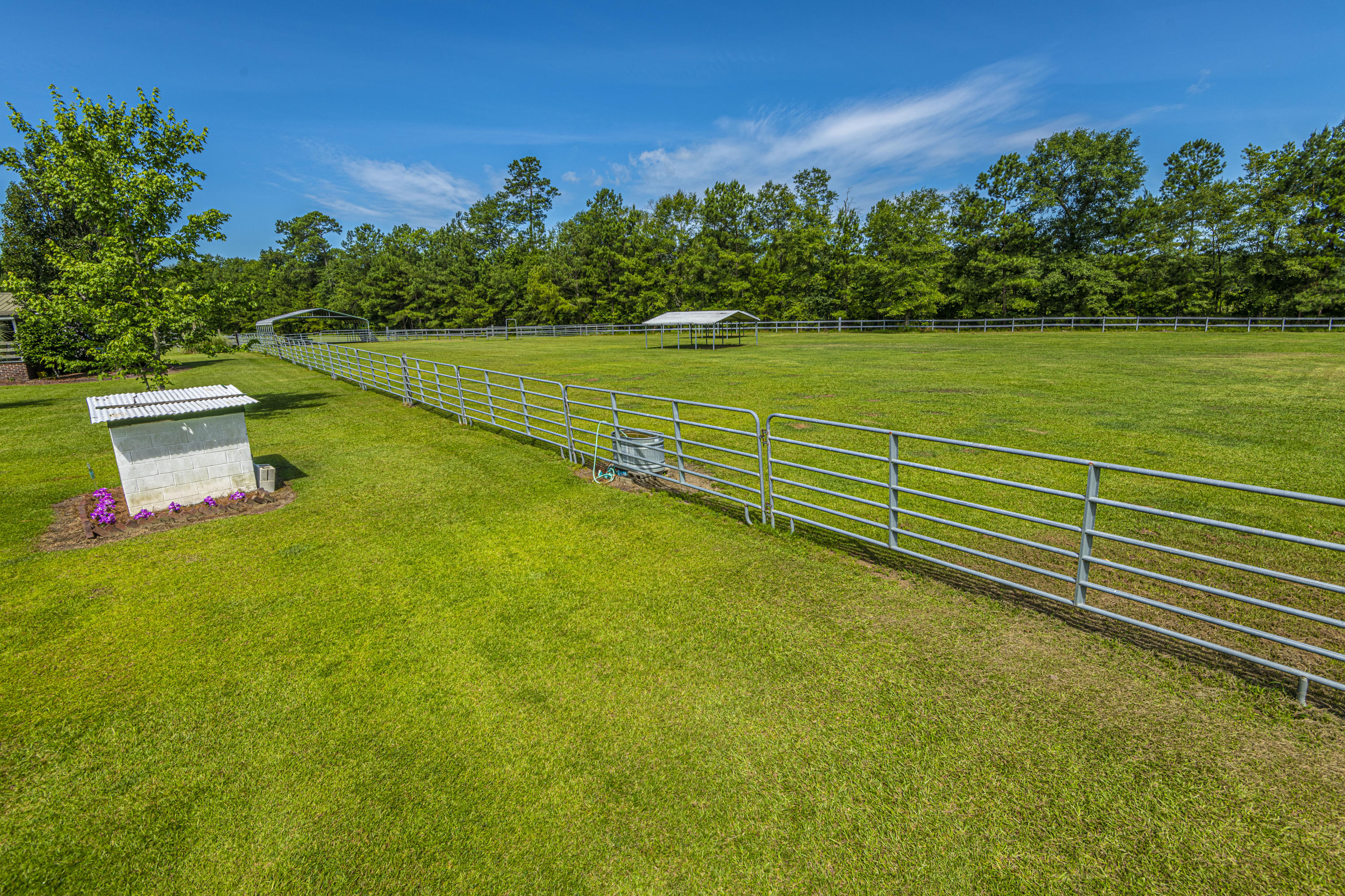 365 Mims Road Harleyville, SC 29448 - Photo 91 of 100 DSC_2465