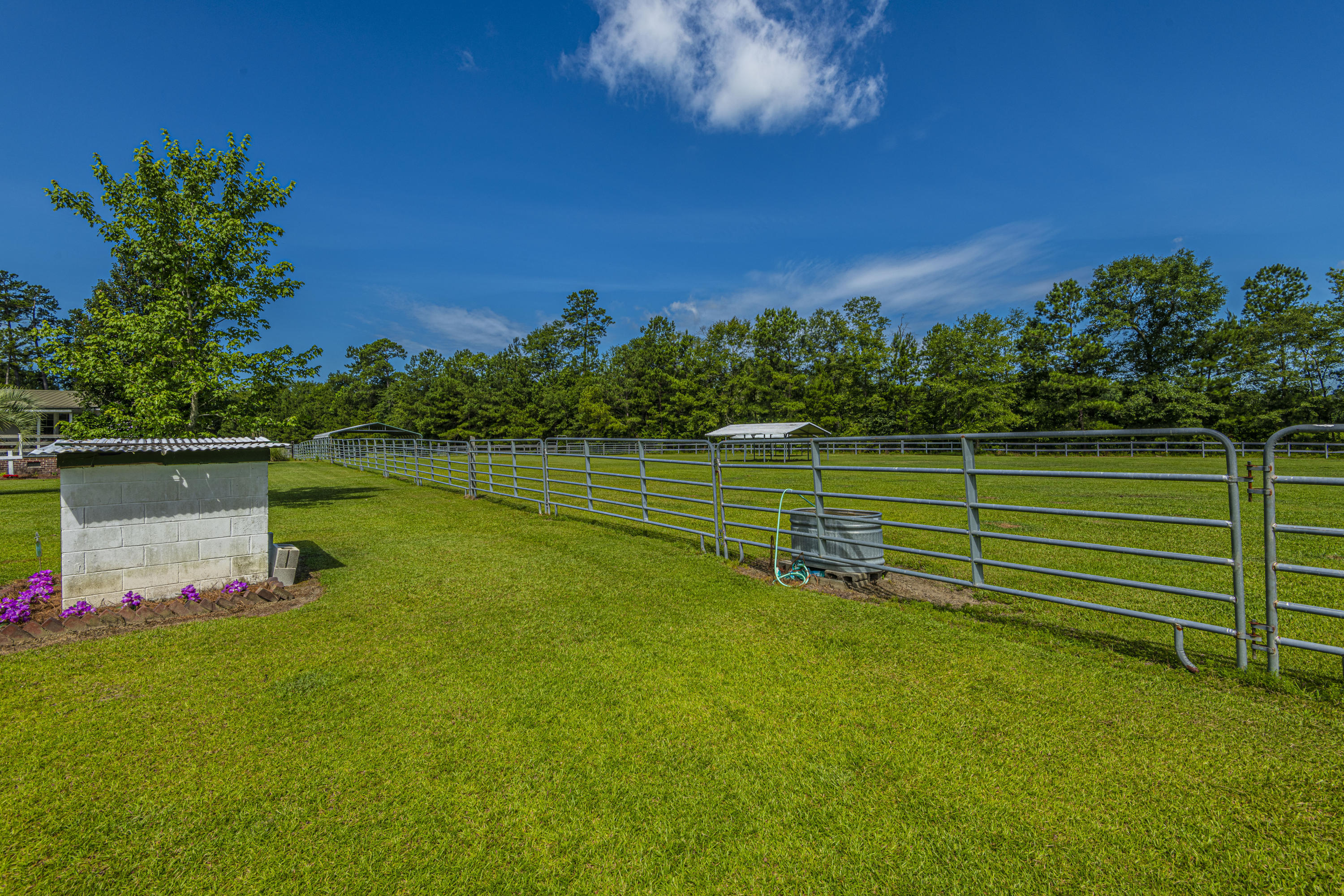 365 Mims Road Harleyville, SC 29448 - Photo 92 of 100 DSC_2464