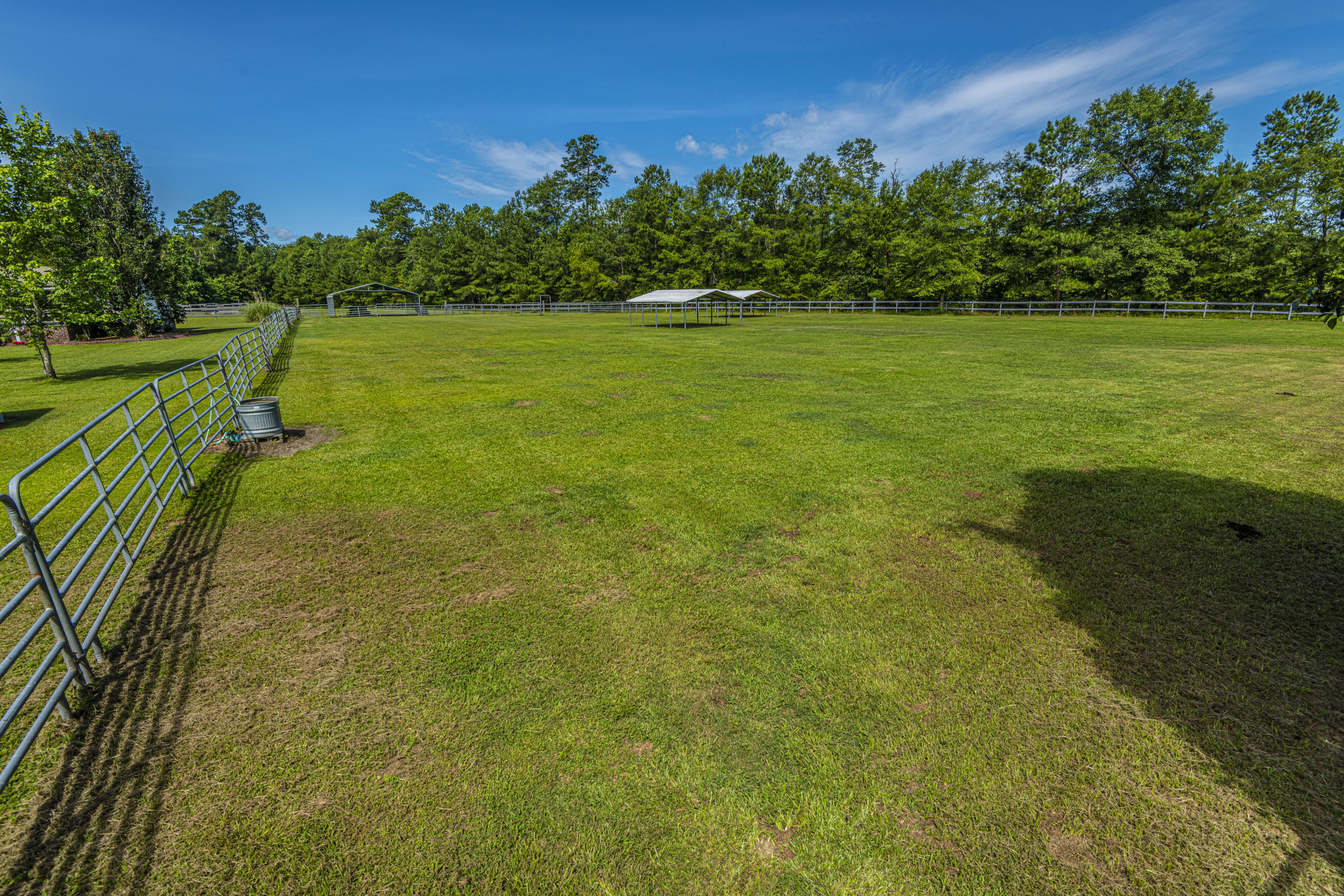365 Mims Road Harleyville, SC 29448 - Photo 93 of 100 DSC_2466